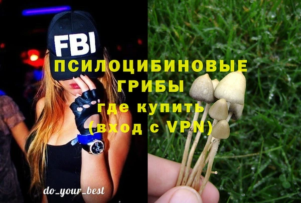 герыч Зеленокумск