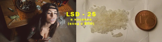 ГАЛЛЮЦИНОГЕННЫЕ ГРИБЫ Зеленодольск