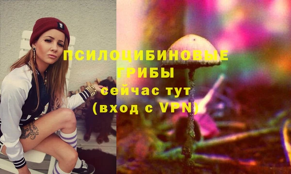 герыч Зеленокумск