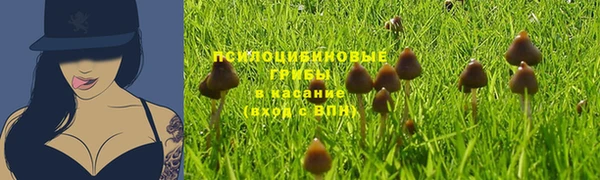 герыч Зеленокумск