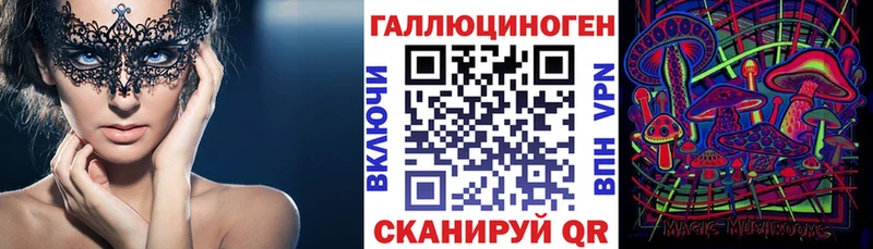 Галлюциногенные грибы Psilocybine cubensis  Купить  Чапаевск 
